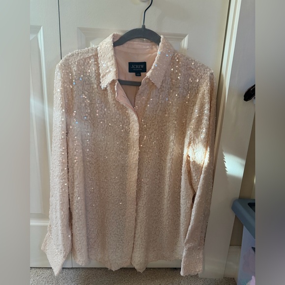 J.Crew Collection Classic Fit Sequin Button-down Shirt Blush Pink size 12 - Picture 3 of 6